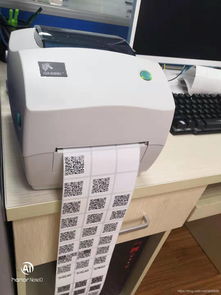 二维码打印机实战教程 得力热敏打印机与CSDN技术解析